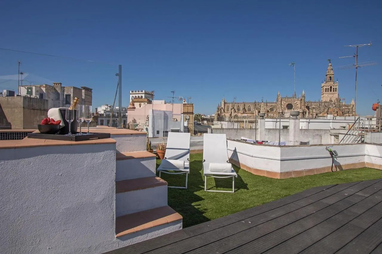 Ohliving San Gregorio contacts